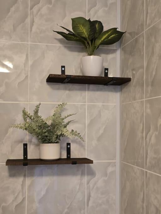 Cosy Home City Centre With Free Parking Nottingham Ngoại thất bức ảnh